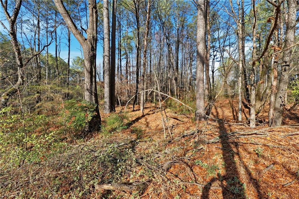92 Vaughn Spur Northeast Cartersville, GA 30121 - Photo 17 of 50 a view of a yard with plants and trees