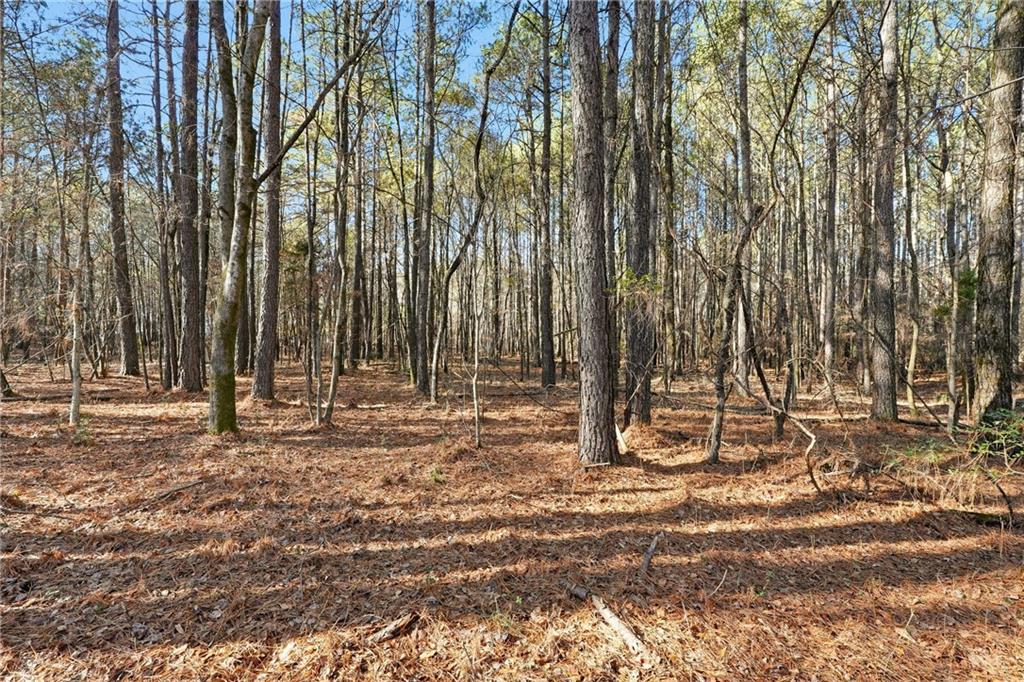 92 Vaughn Spur Northeast Cartersville, GA 30121 - Photo 18 of 50 a view of a backyard with large trees