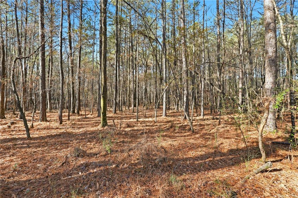 92 Vaughn Spur Northeast Cartersville, GA 30121 - Photo 19 of 50 a view of outdoor space with deck