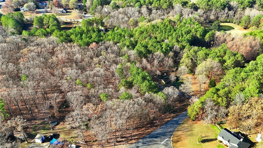 92 Vaughn Spur Northeast Cartersville, GA 30121 - Photo 22 of 50 a picture of flowers