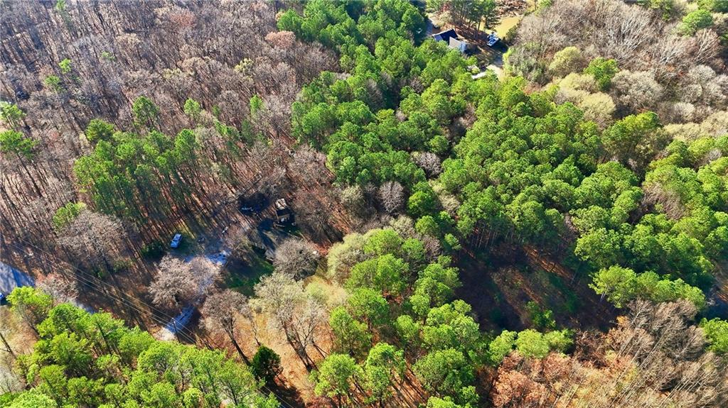 92 Vaughn Spur Northeast Cartersville, GA 30121 - Photo 26 of 50 a view of a garden with plants and flowers