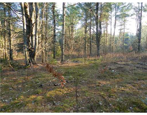 Lot 7 Main Street Sumner, ME 04292 - Photo 11 of 13 Land/Lot.