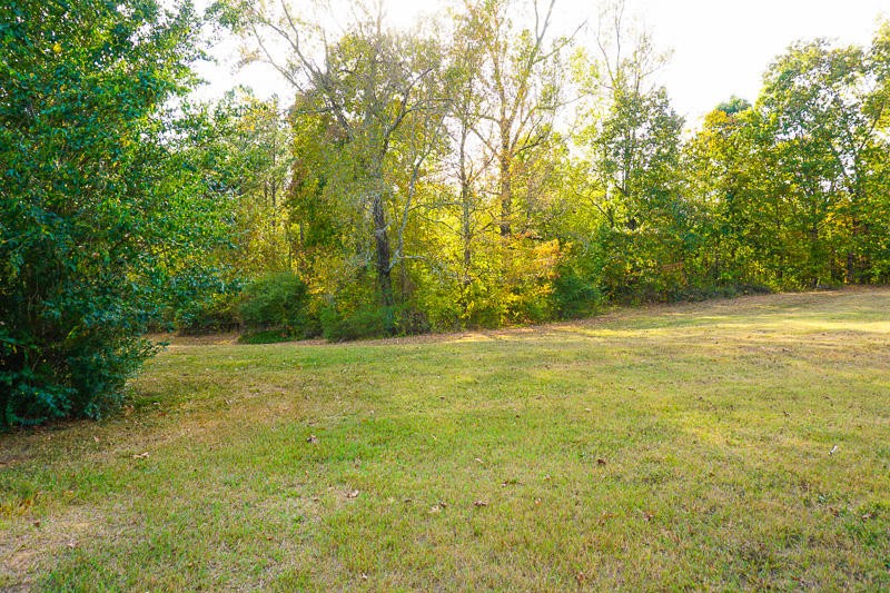 4357 Poplar Springs Road Ringgold, GA 30736 - Photo 2 of 2 a view of a yard with a trees