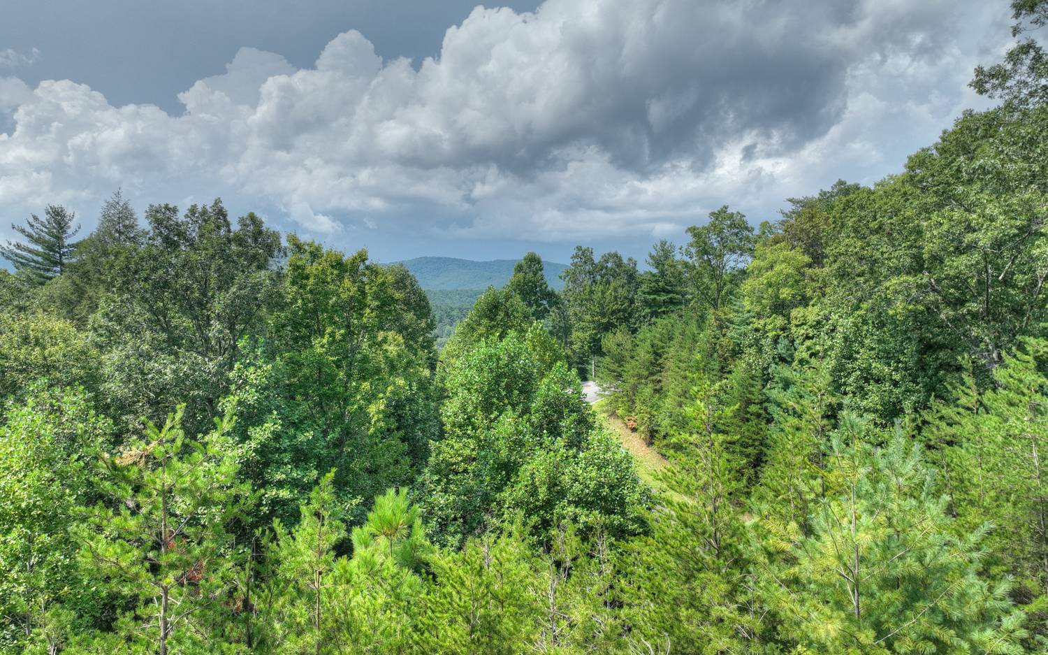 1079 Settler's Ridge Road Ellijay, GA 30540 - Photo 6 of 20 Additional View