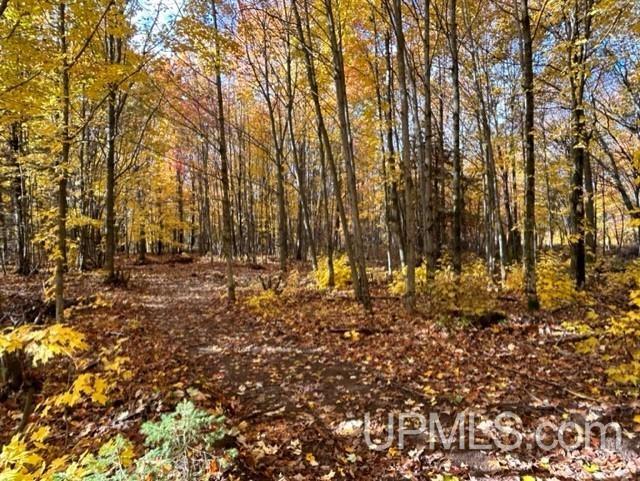 52159 Superior Shores Road Atlantic Mine, MI 49905 - Photo 37 of 45 Gallery Image 37