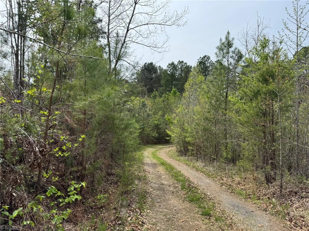 6988 Salem Chapel Road Walnut Cove, NC 27052 - Photo 2 of 38