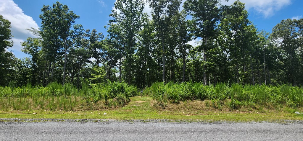 106 Split Creek Road Morganton, GA 30560 - Photo 7 of 10