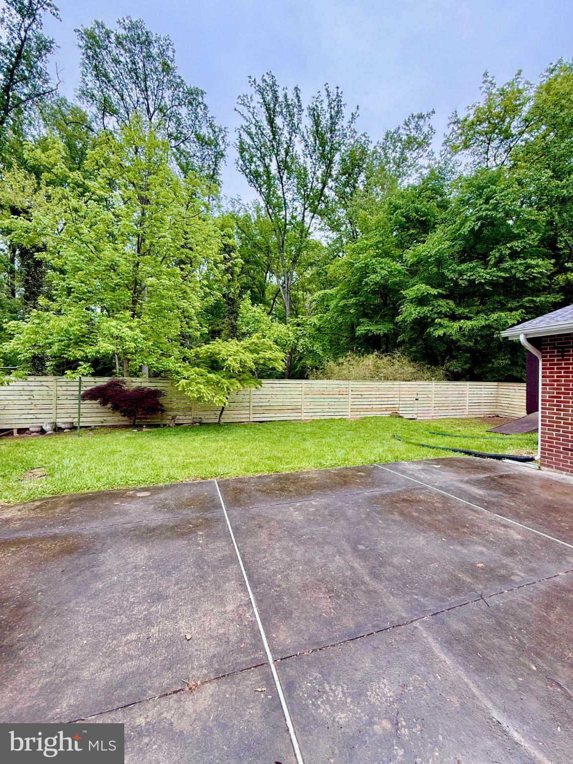 9720 Hedin Drive Silver Spring, MD 20903 - Photo 7 of 79 Lush greenery in a tranquil backyard.