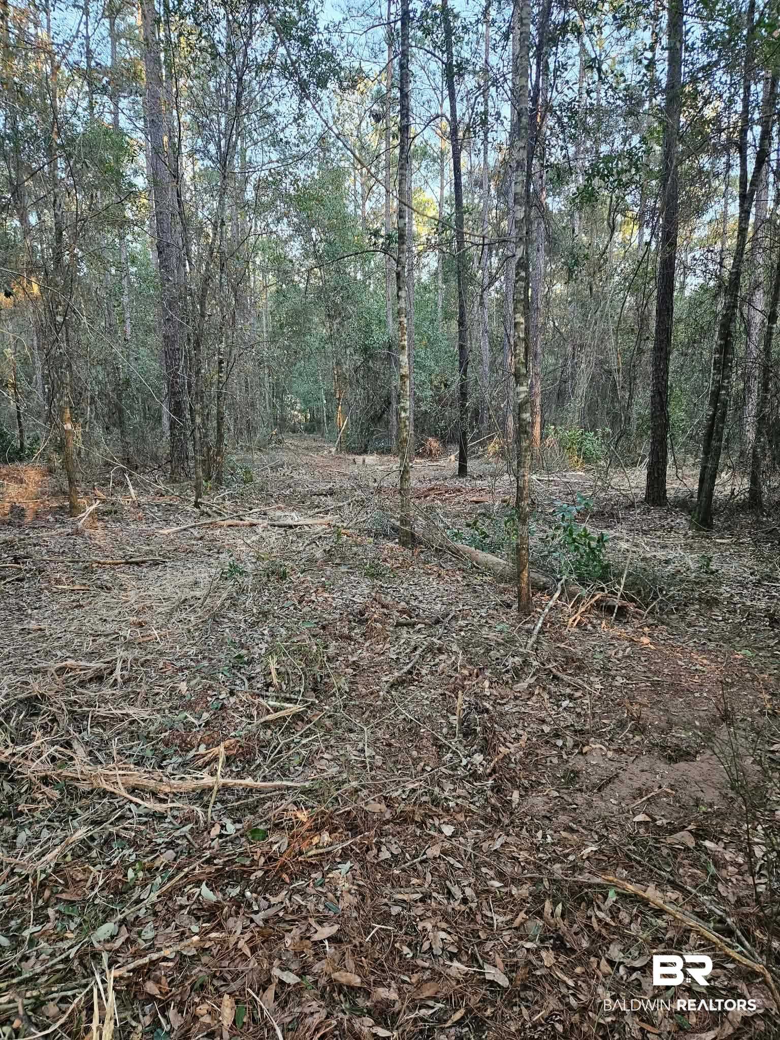 0 Gardner Road Elberta, AL 36530 - Photo 3 of 9