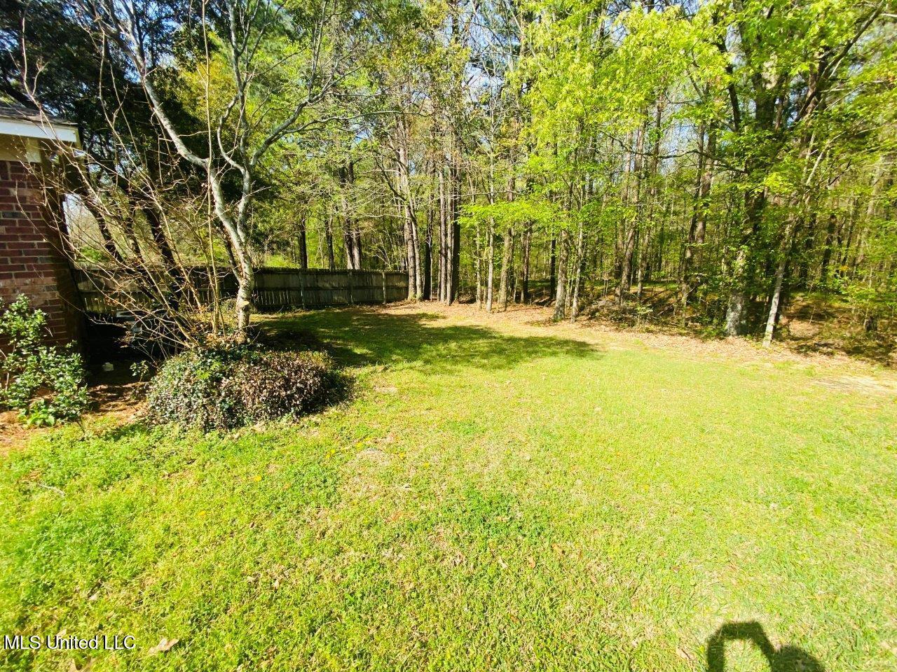 473 Mockingbird Circle Brandon, MS 39047 - Photo 9 of 9 File_001