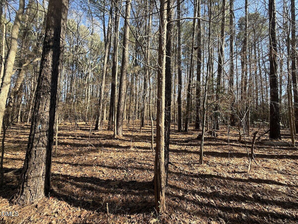 1012 South Halifax Road Rocky Mount, NC 27803 - Photo 22 of 41 a view of a backyard with of trees