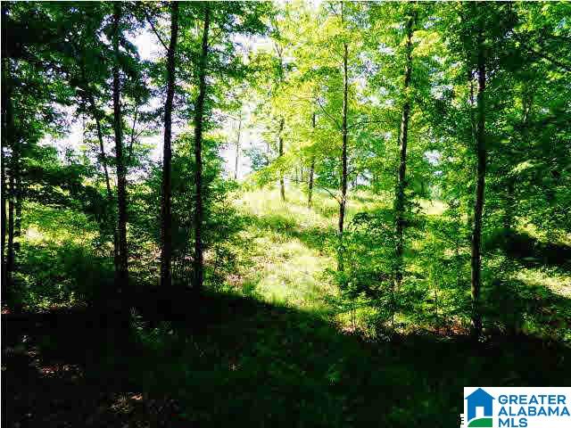 0 Riverview Drive, Unit 116 Cleveland, AL 35049 - Photo 11 of 30
