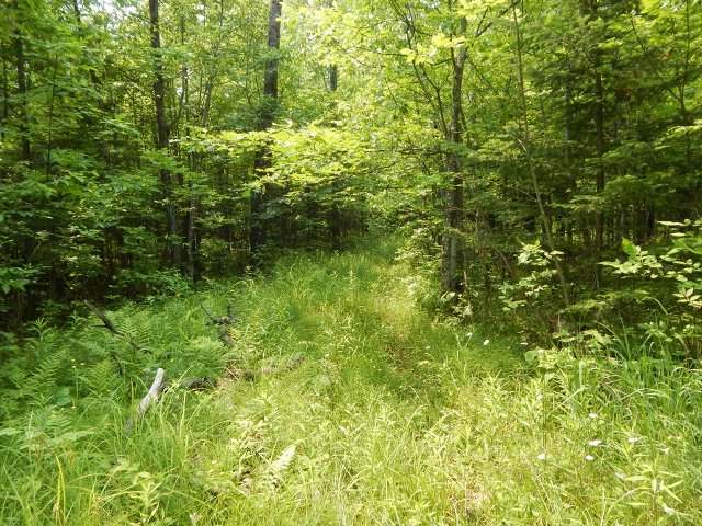 On Sears Road Saxon, WI 54559 - Photo 10 of 20 Gallery Image 10