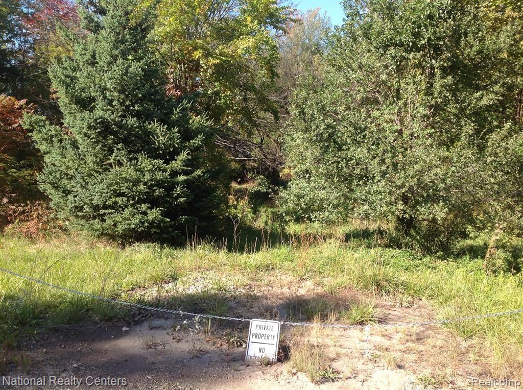 Joslyn Rd Lake Lake Orion, MI 48359 - Photo 2 of 8