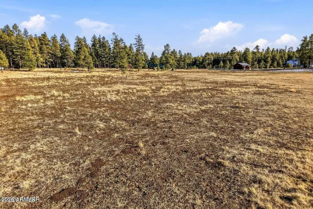 a view of an outdoor space and trees