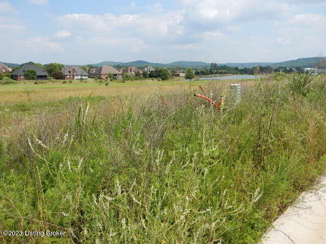 Lot 3 Gaither Farm Road Shepherdsville, KY 40165 - Photo 2 of 6 DSCN7133