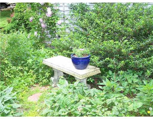 Yard/Garden.
