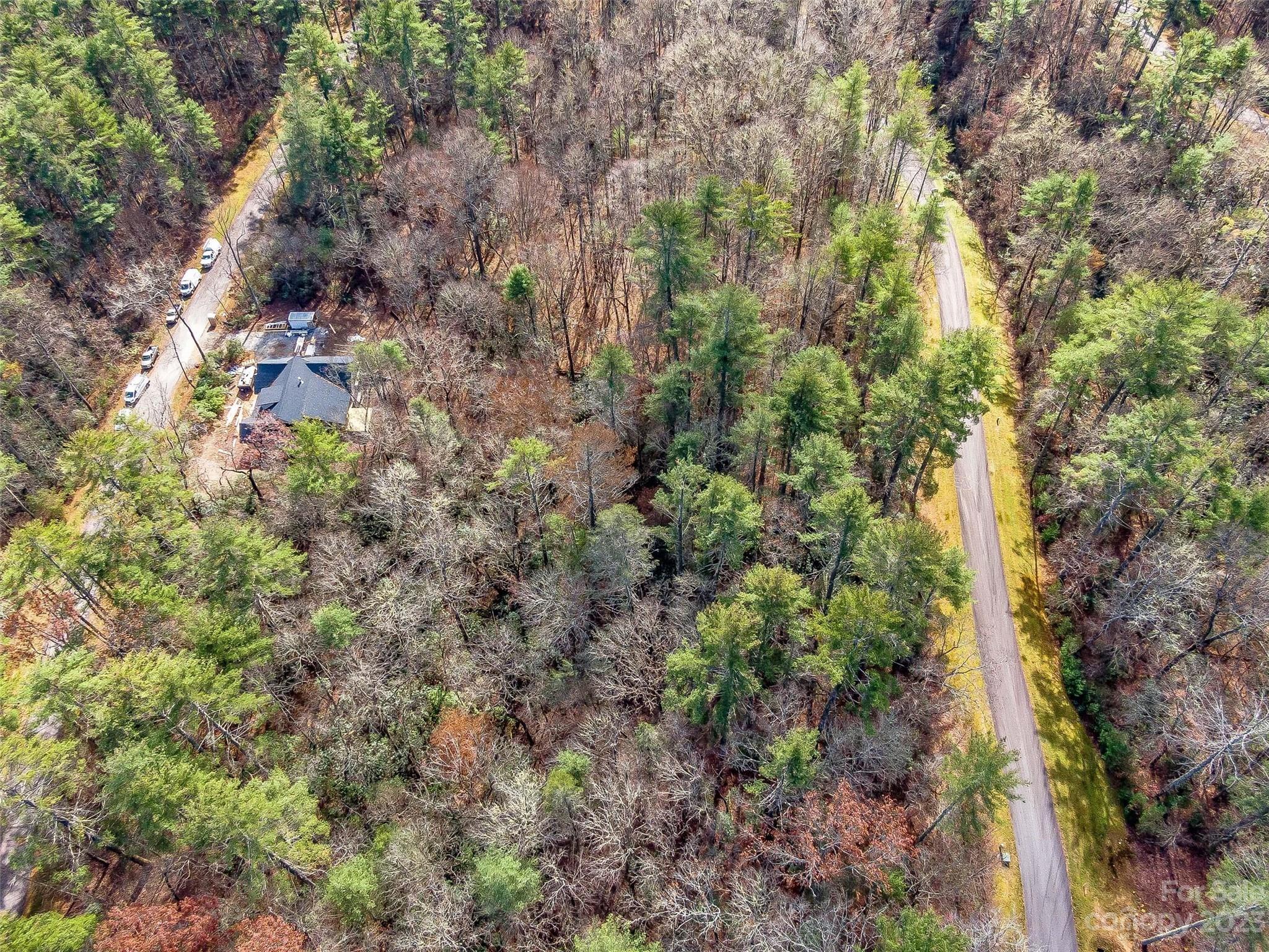 53 R High Hemlock Trail Brevard, NC 28712 - Photo 11 of 20 a view of a forest with a tree
