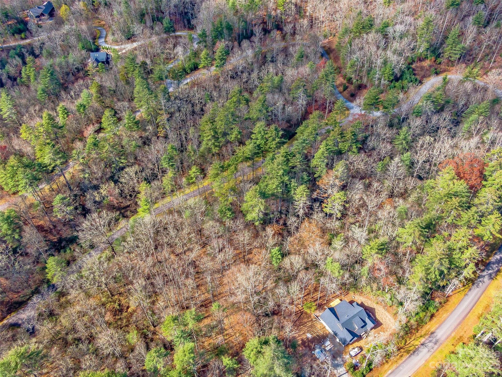 53 R High Hemlock Trail Brevard, NC 28712 - Photo 12 of 20 a view of a yard
