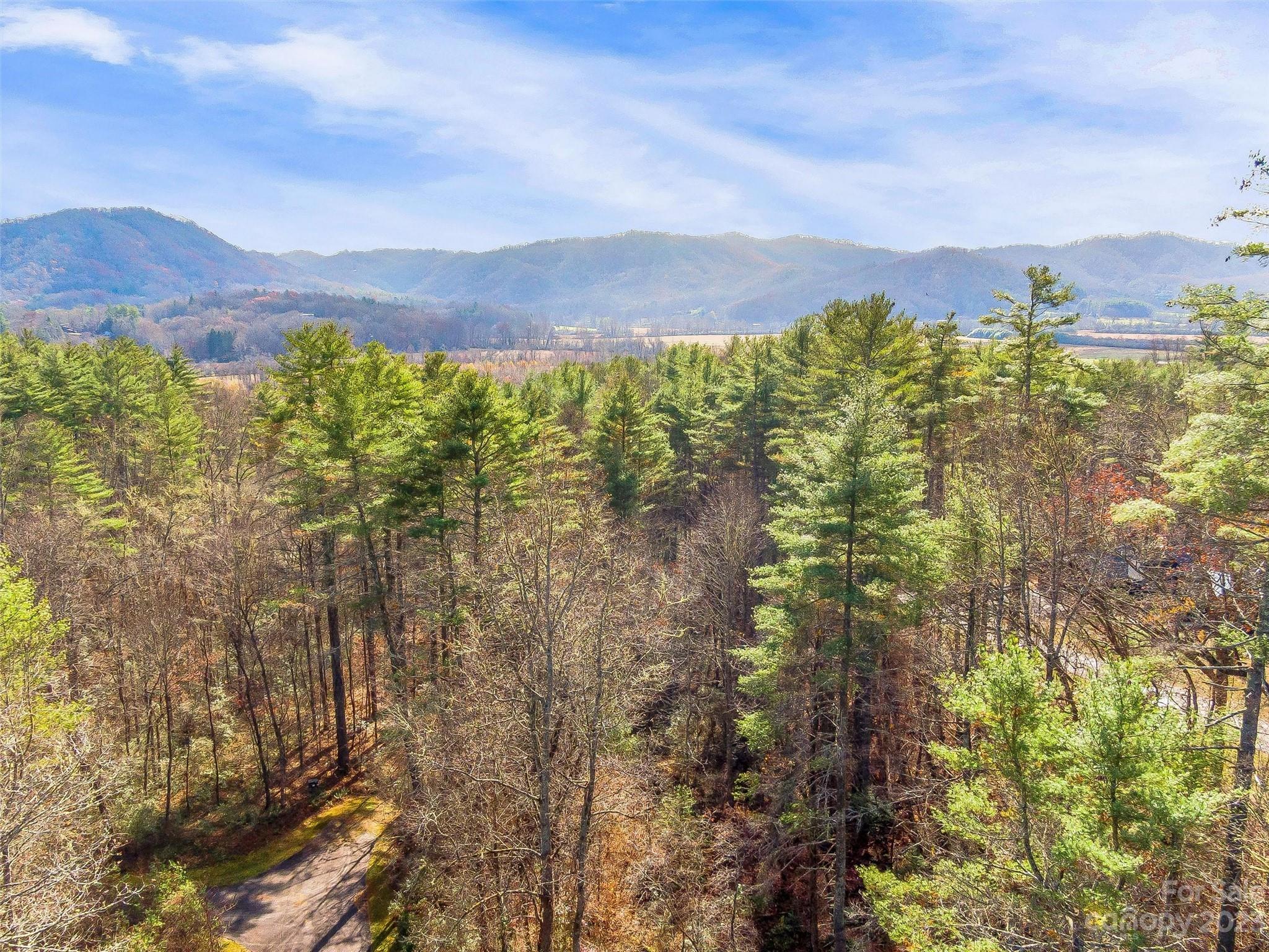 53 R High Hemlock Trail Brevard, NC 28712 - Photo 14 of 20 a view of a city