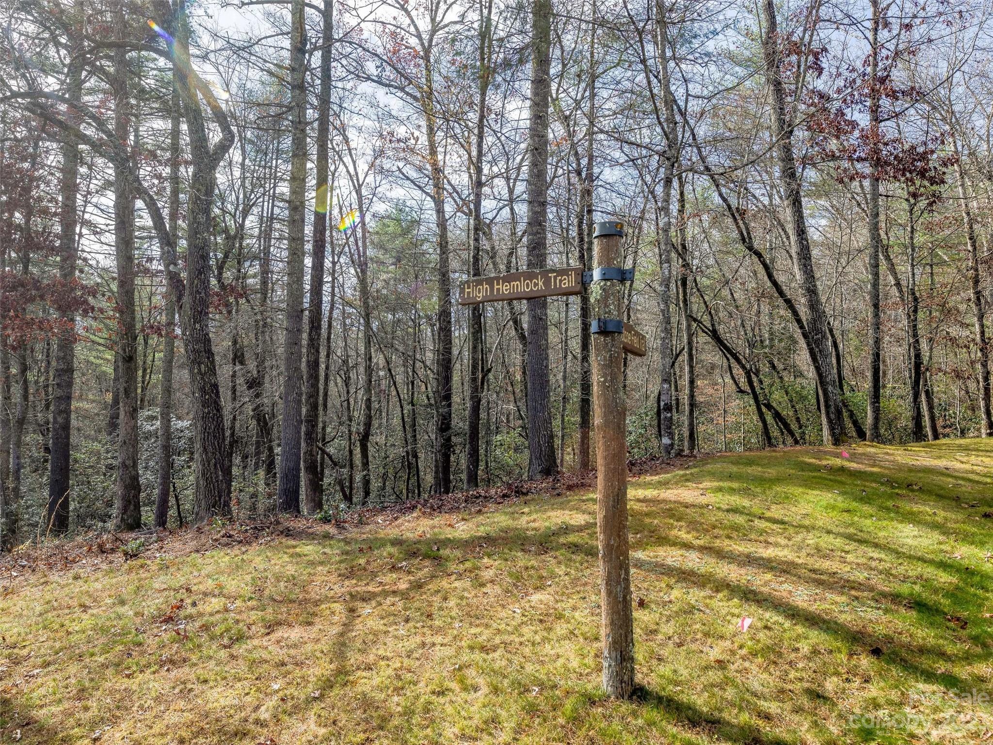 53 R High Hemlock Trail Brevard, NC 28712 - Photo 17 of 20 a view of a backyard