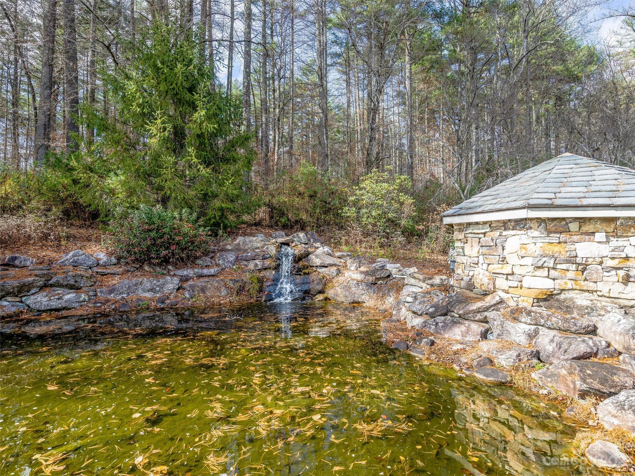 53 R High Hemlock Trail Brevard, NC 28712 - Photo 19 of 20 a backyard of a house with large trees and plants