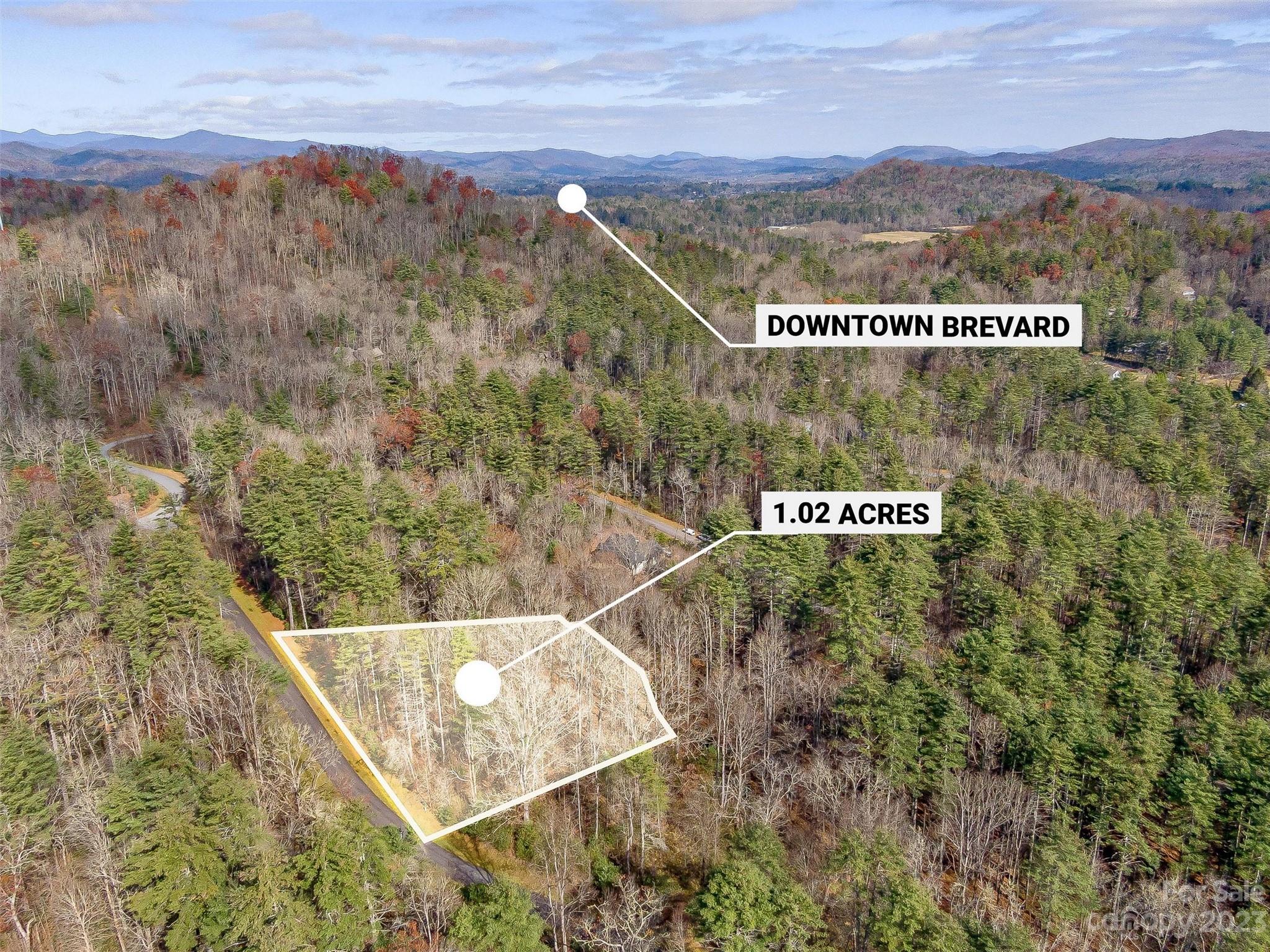 53 R High Hemlock Trail Brevard, NC 28712 - Photo 3 of 20 a view of a forest