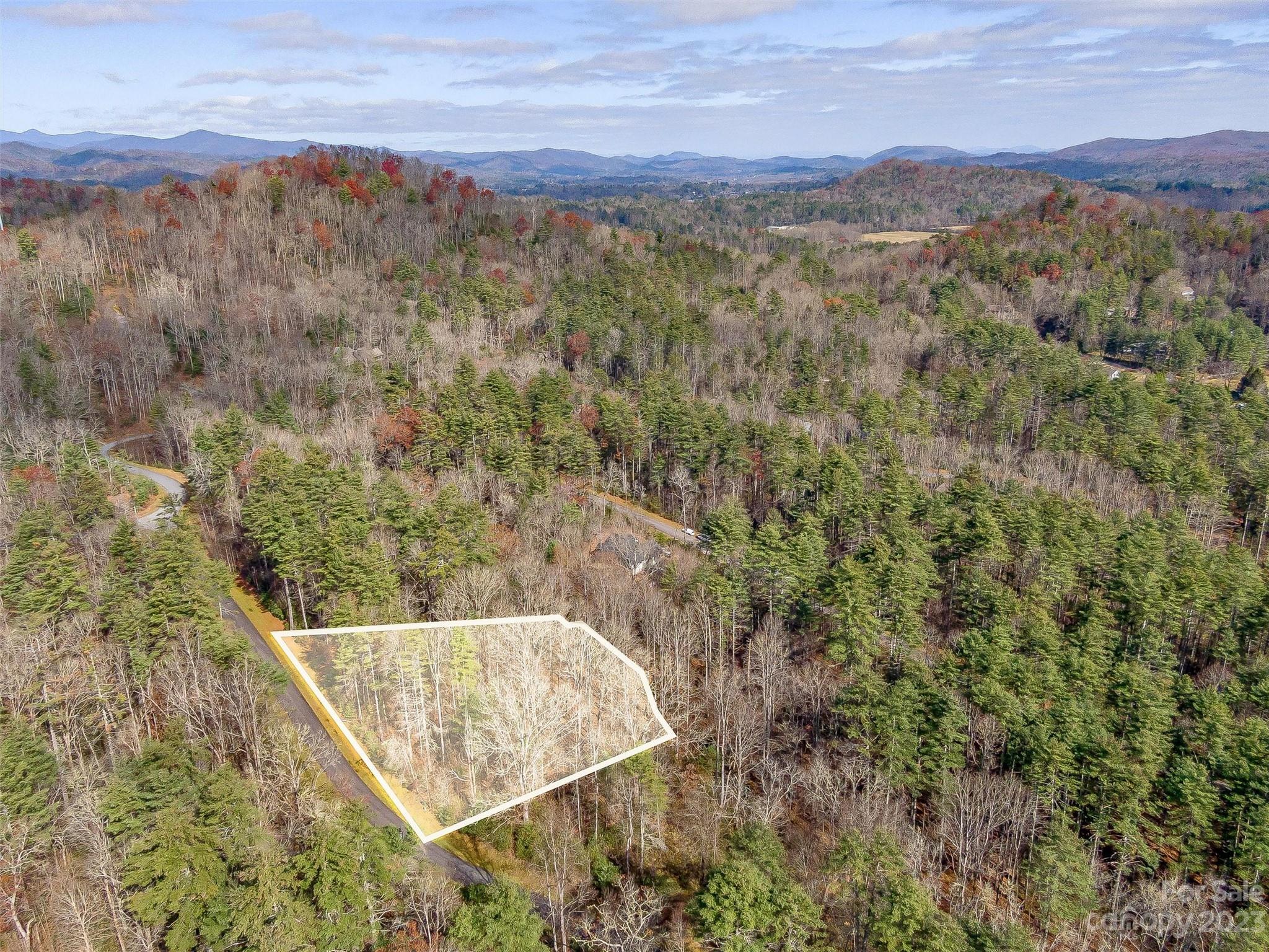 53 R High Hemlock Trail Brevard, NC 28712 - Photo 5 of 20 a view of a forest with a mountain