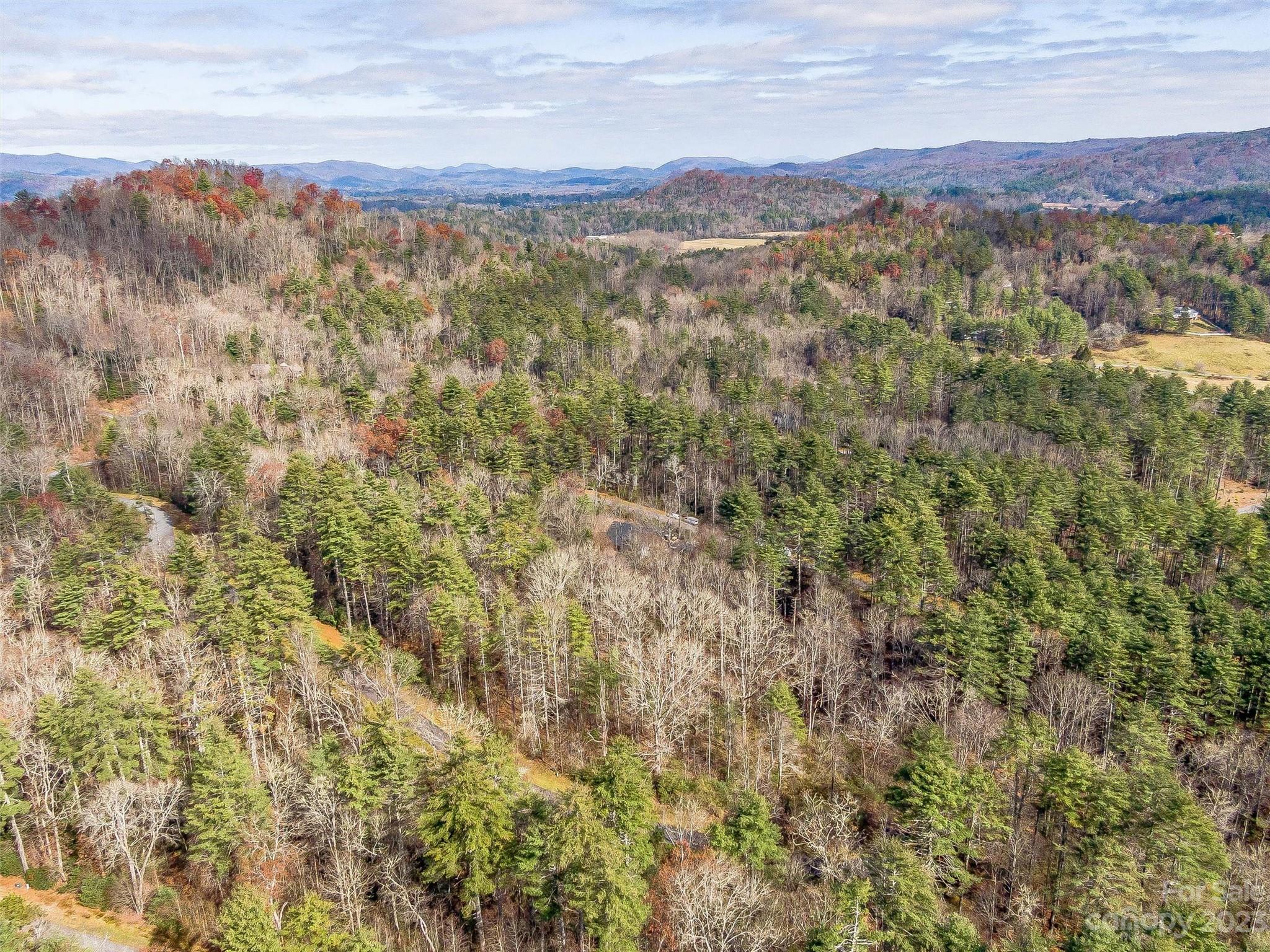 53 R High Hemlock Trail Brevard, NC 28712 - Photo 8 of 20 a view of city and mountain
