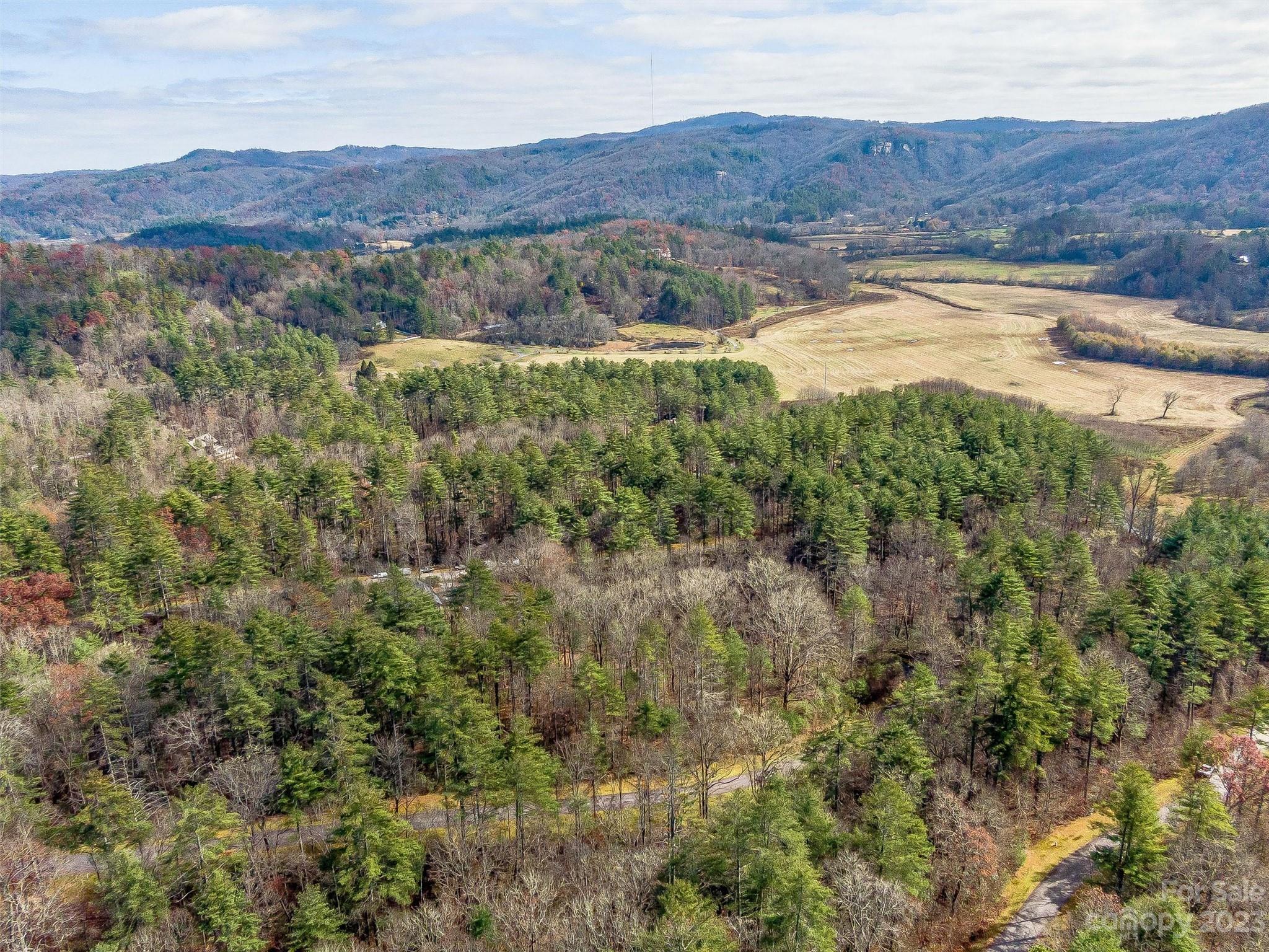 53 R High Hemlock Trail Brevard, NC 28712 - Photo 9 of 20 a view of a and mountain