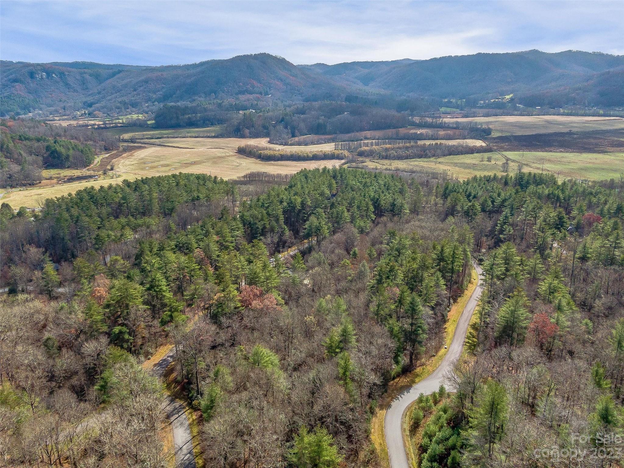 53 R High Hemlock Trail Brevard, NC 28712 - Photo 10 of 20 a view of a lush green hillside and houses