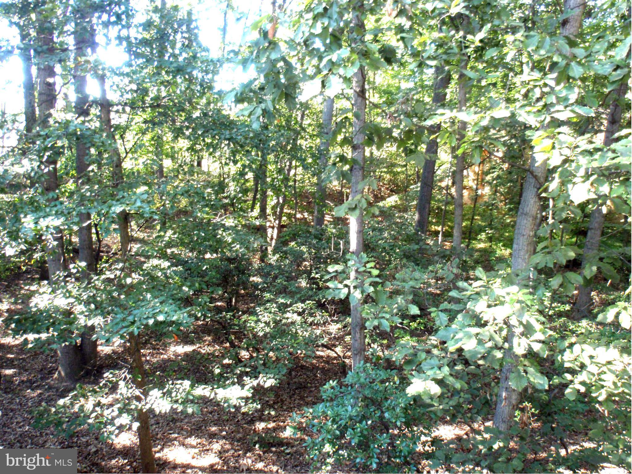 1406 Wolftrap Run Road Vienna, VA 22182 - Photo 28 of 30 View