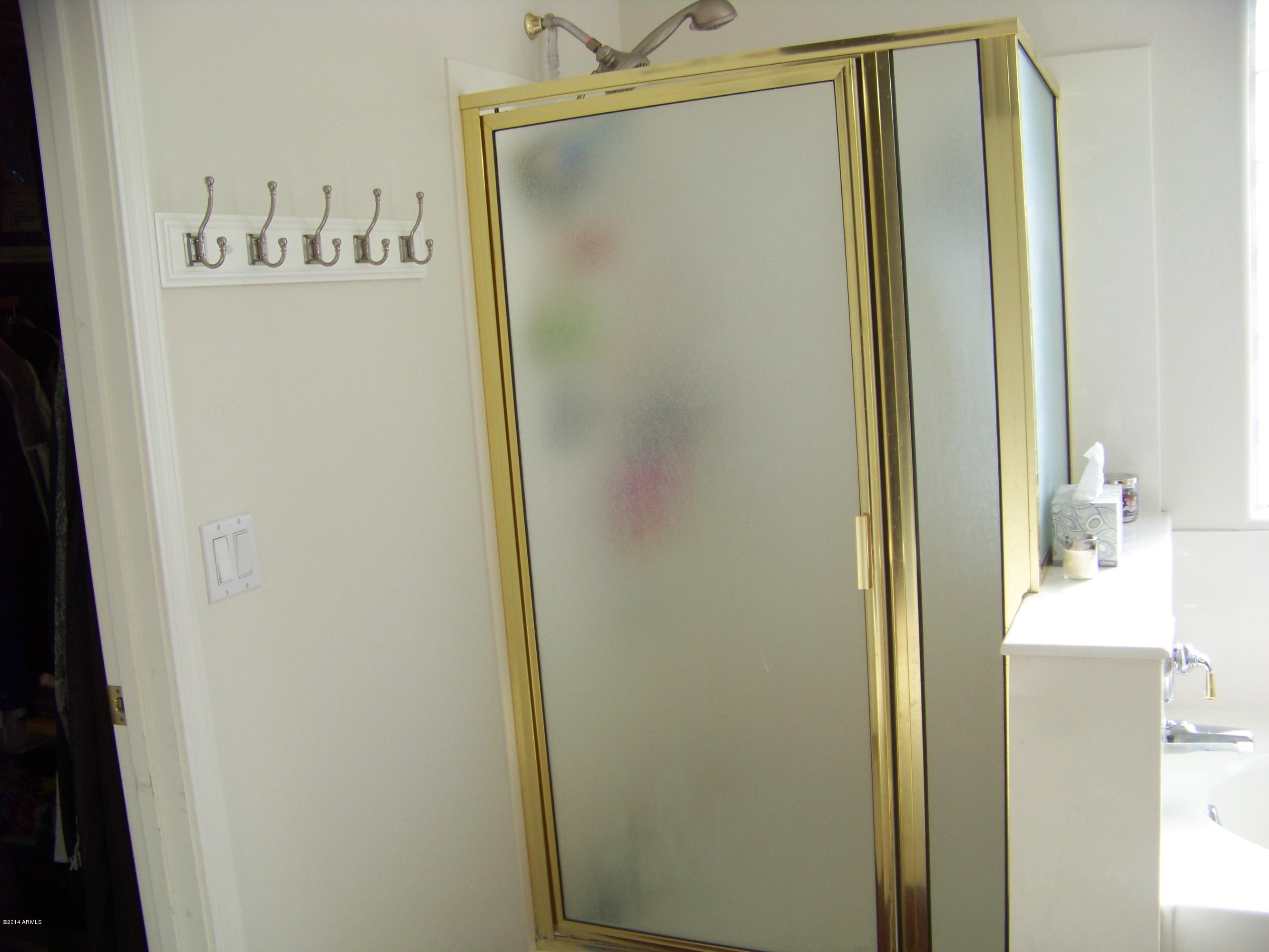 11030 West Granada Road Avondale, AZ 85392 - Photo 26 of 49 Master bath seperate shower