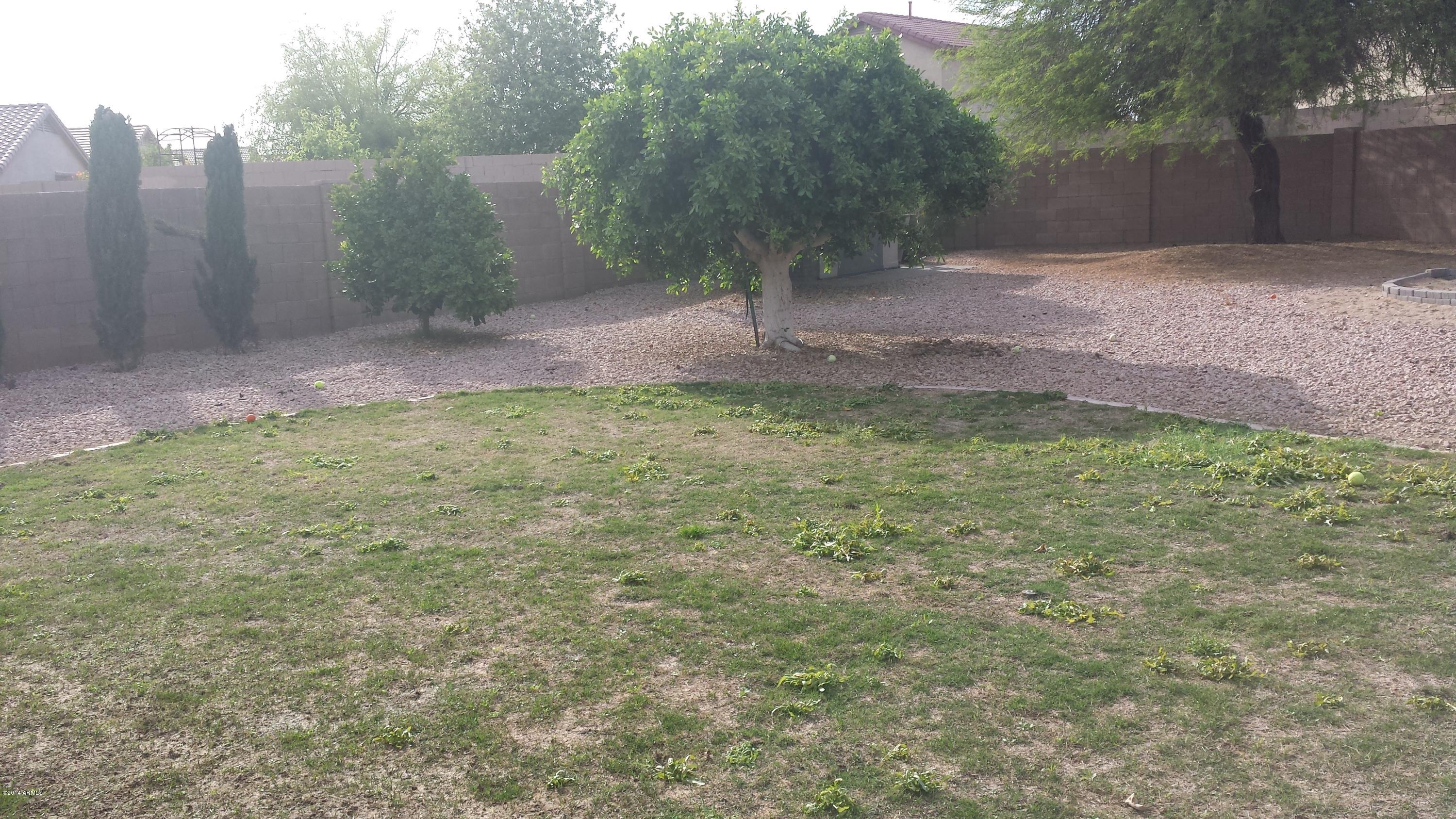 11030 West Granada Road Avondale, AZ 85392 - Photo 41 of 49 Huge backyard