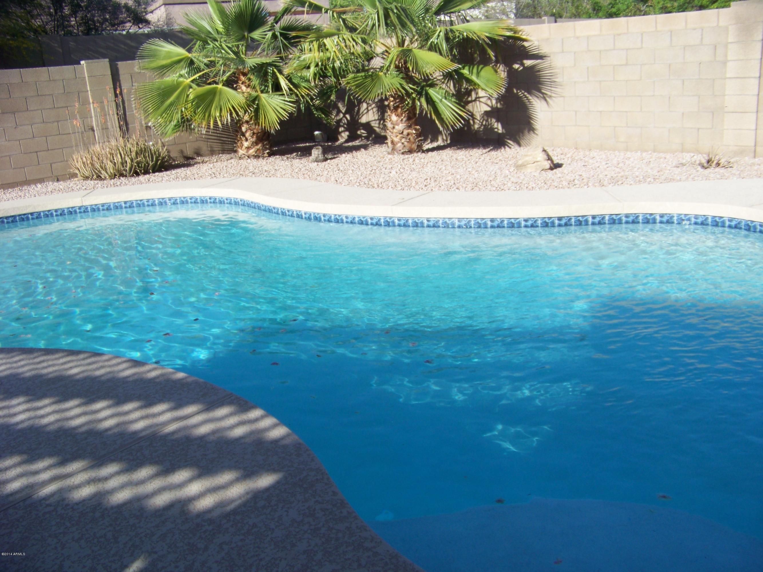 11030 West Granada Road Avondale, AZ 85392 - Photo 48 of 49 Pool #5