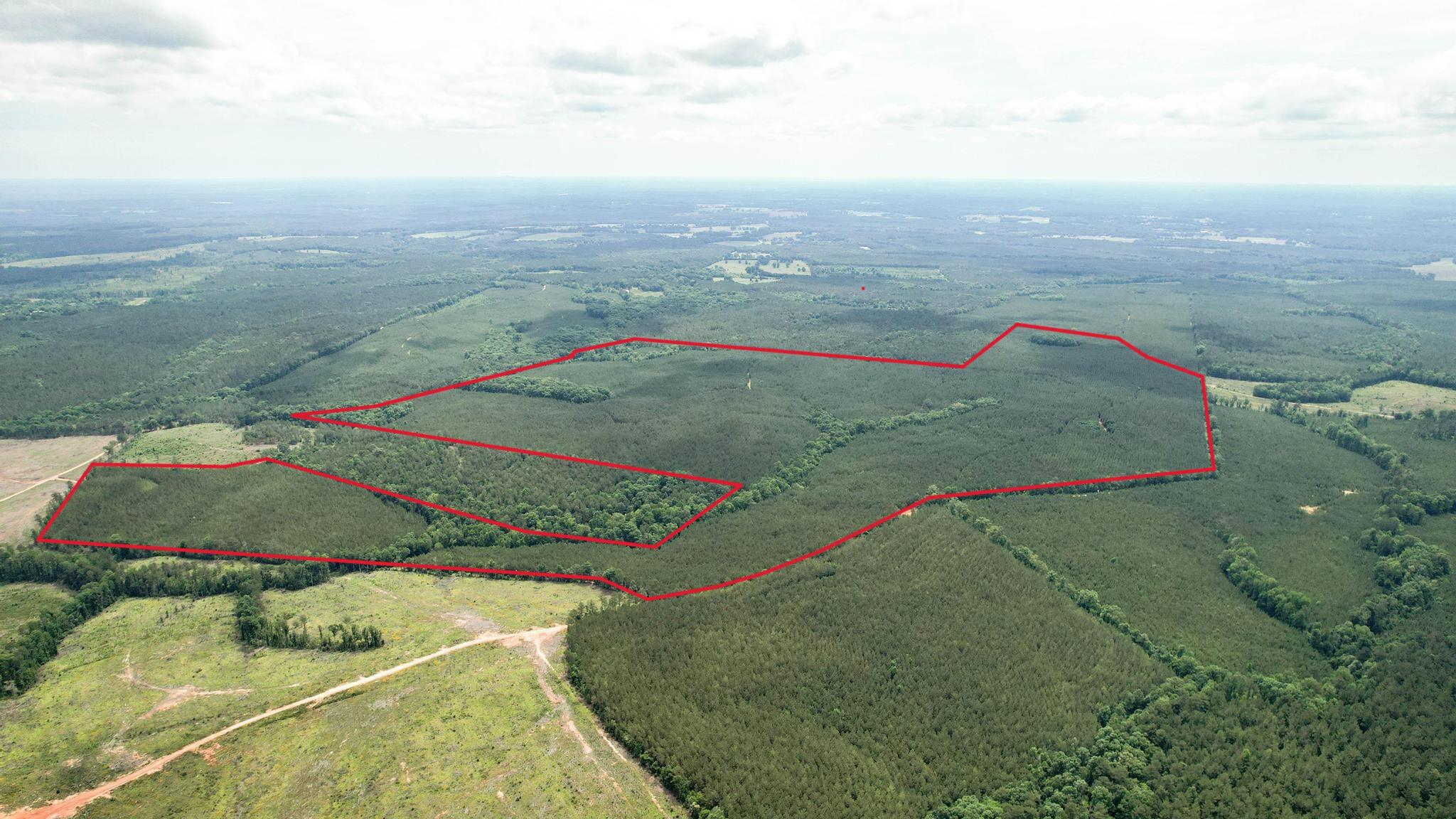 Tbd Pineywood Road, Unit TBD Saluda, SC 29138 - Photo 1 of 17