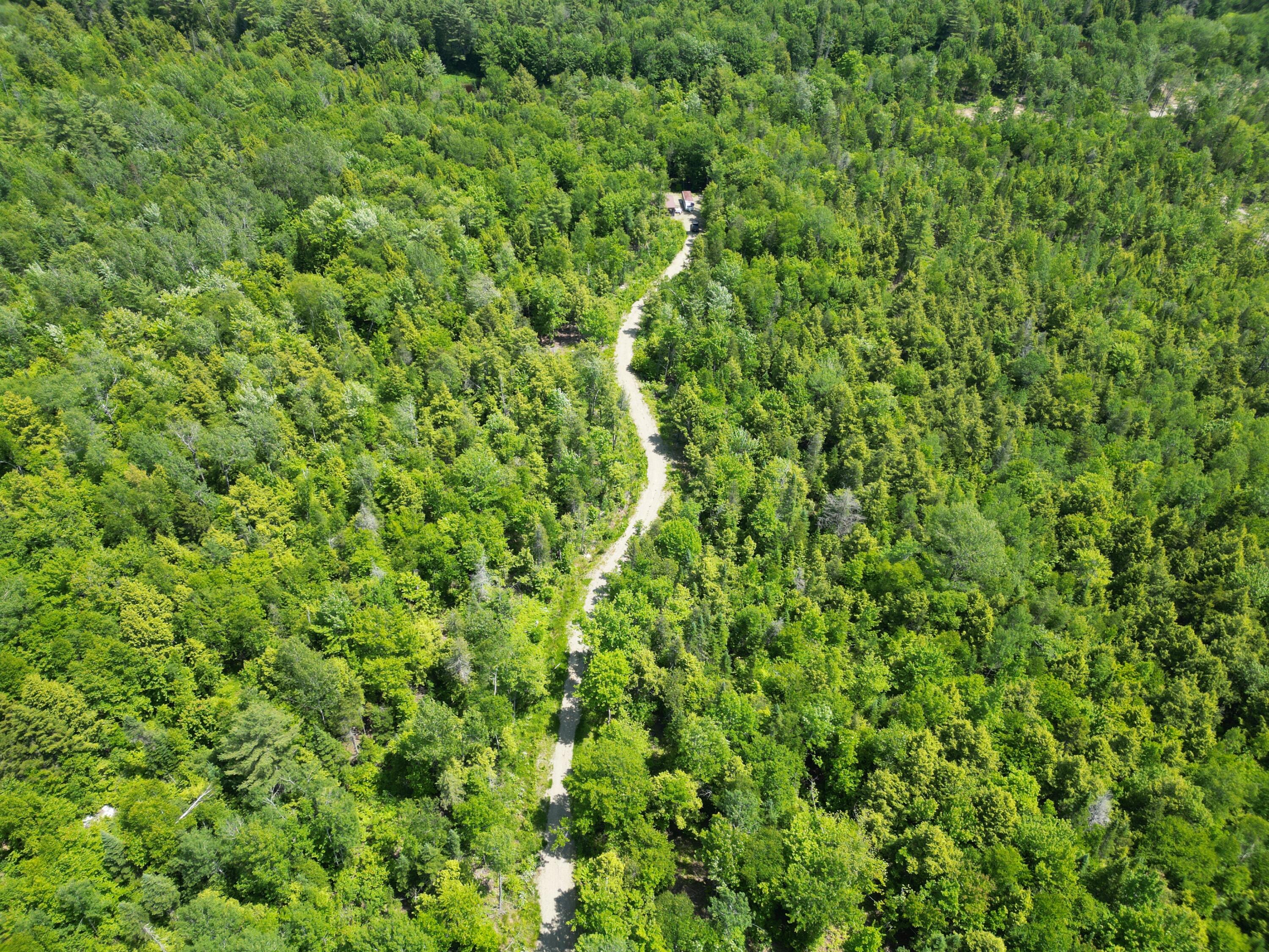 Lot 1 Keene Road Lincoln, ME 04457 - Photo 5 of 22 DJI_0318