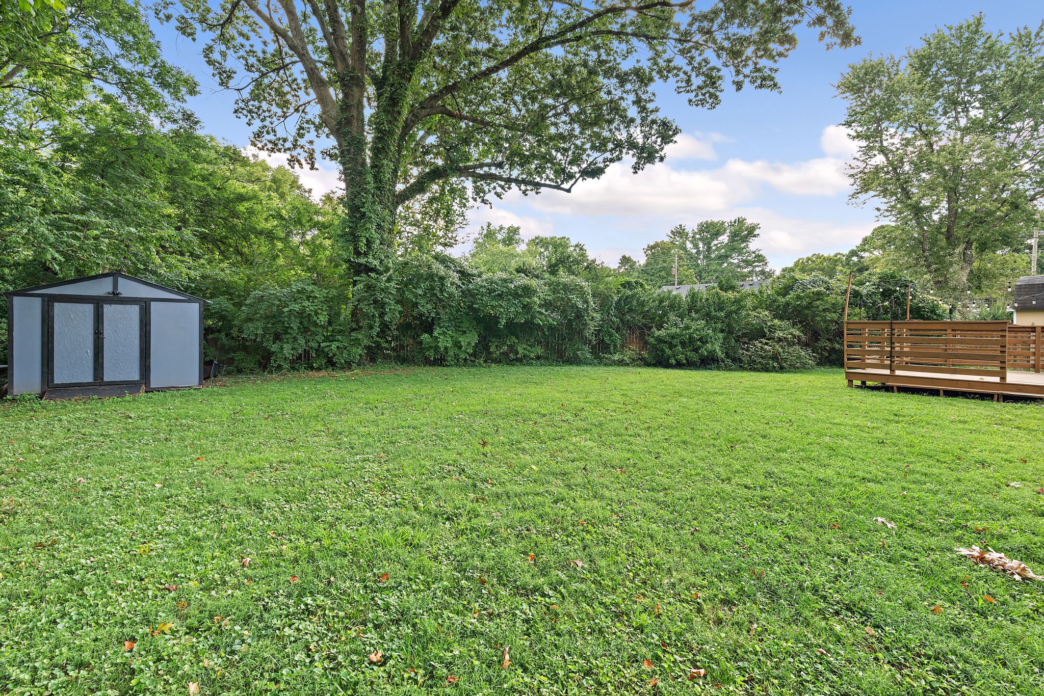 2614 Live Oak Road Nashville, TN 37210 - Photo 28 of 37 a view of a backyard with a garden