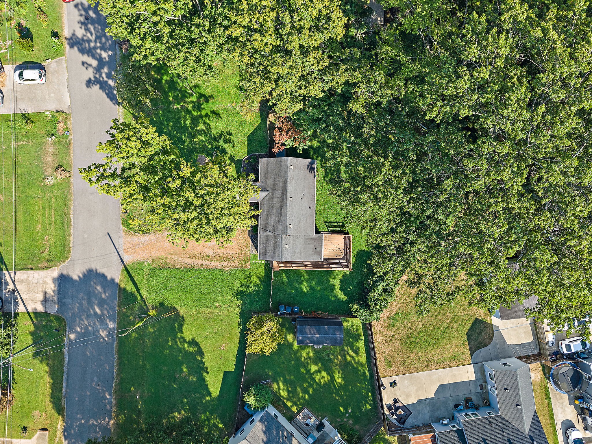 2614 Live Oak Road Nashville, TN 37210 - Photo 31 of 37 a picture of trees