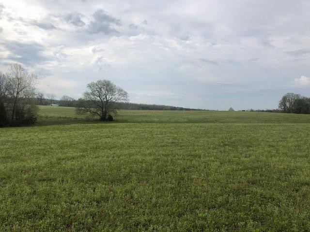 582 Head River Ranch Road Menlo, GA 30731 - Photo 2 of 20