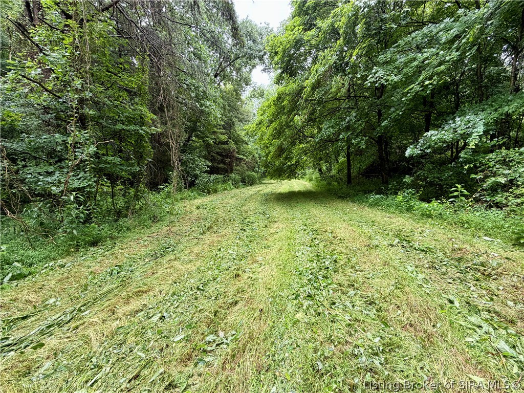 Pfister Road Otisco, IN 47163 - Photo 28 of 50