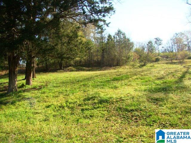 678 Old Sulphur Springs Road, Unit 2 Wellington, AL 36279 - Photo 11 of 11