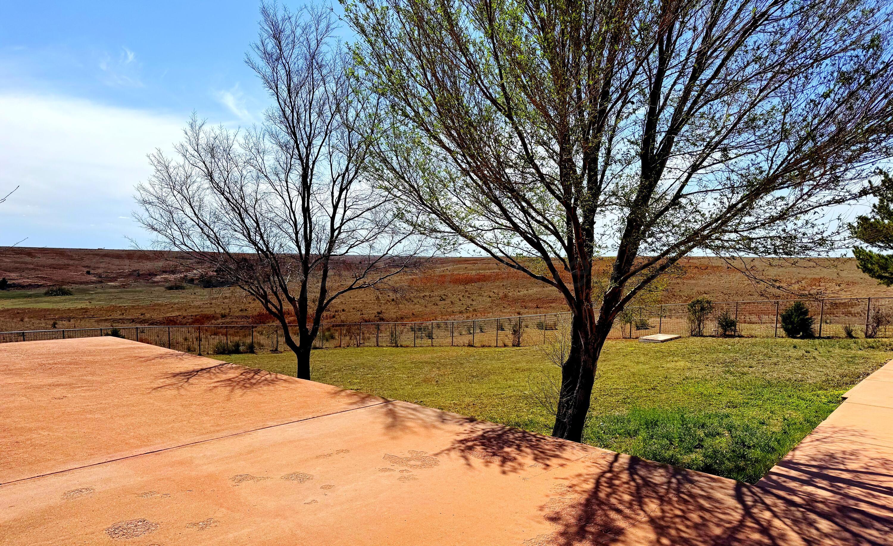 12885 Highway 83 Perryton, TX 79070 - Photo 25 of 40 a view of a yard with a house