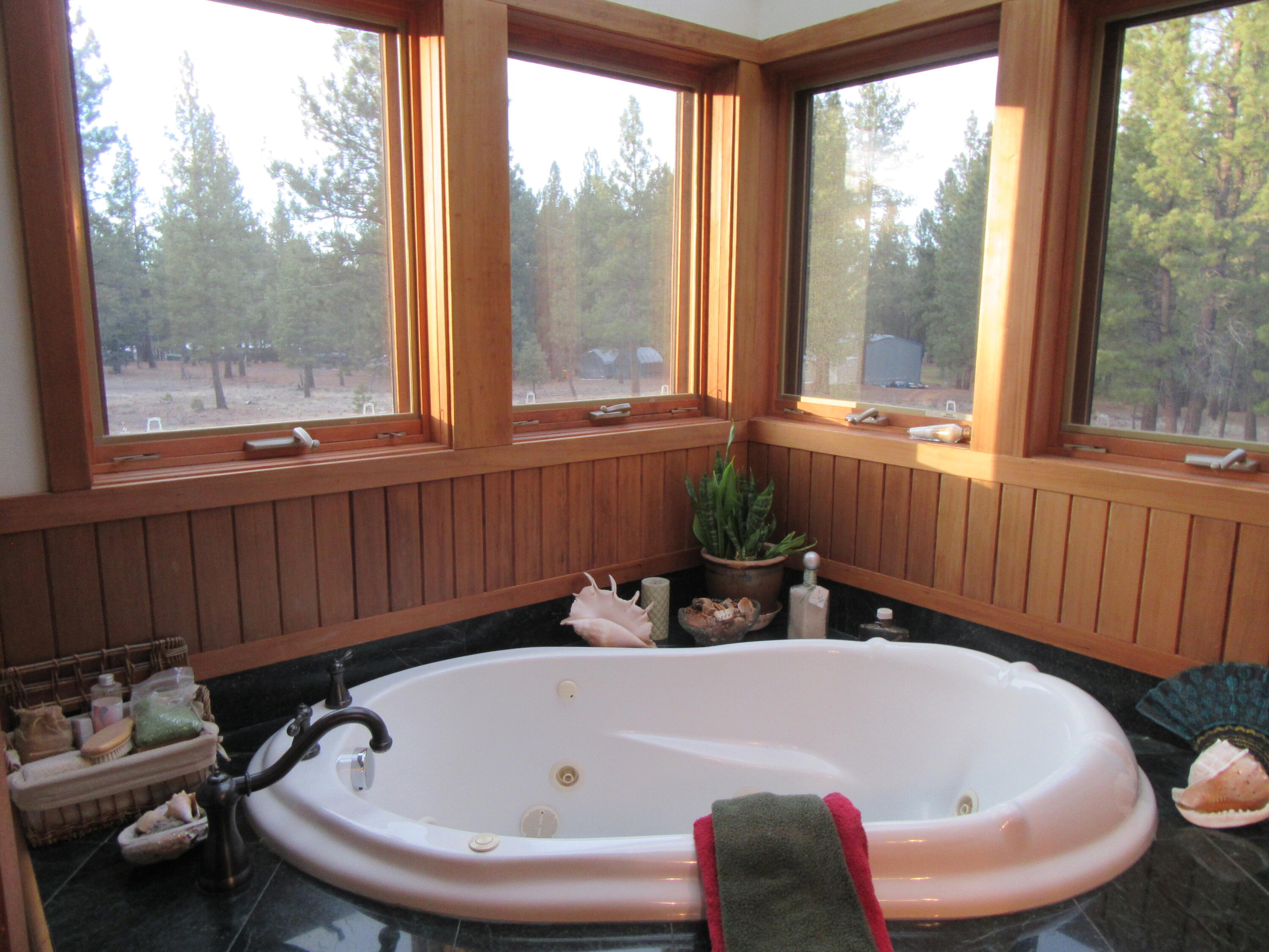 16144 Sprague River Road Chiloquin, OR 97624 - Photo 32 of 81 Large jetted soaker tub in Primary Bathr