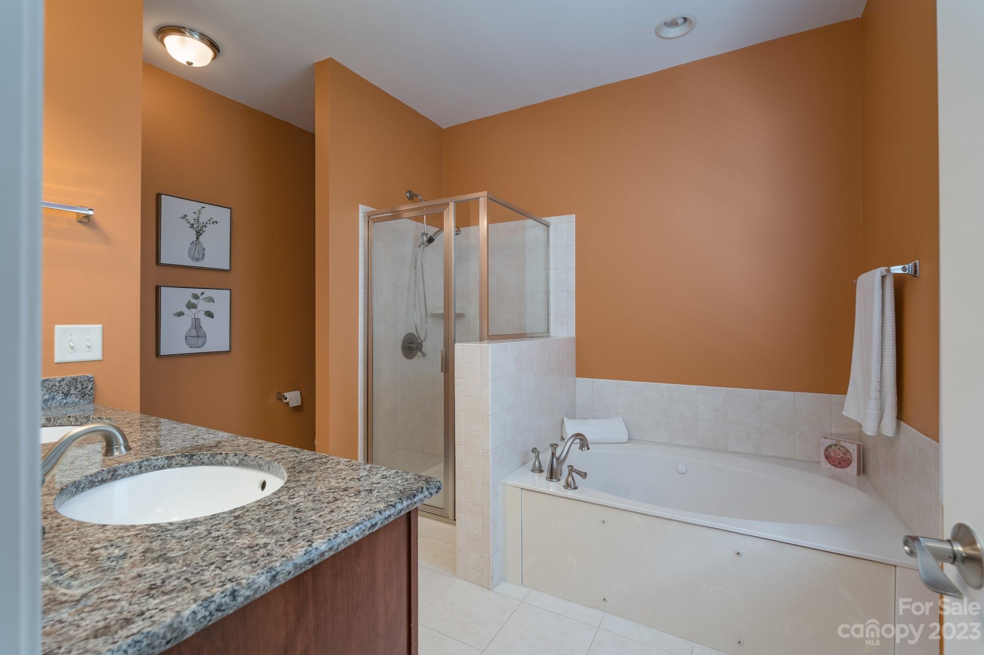 627 Sunfish Lane Tega Cay, SC 29708 - Photo 26 of 46 a bathroom with a granite countertop sink and a bathtub