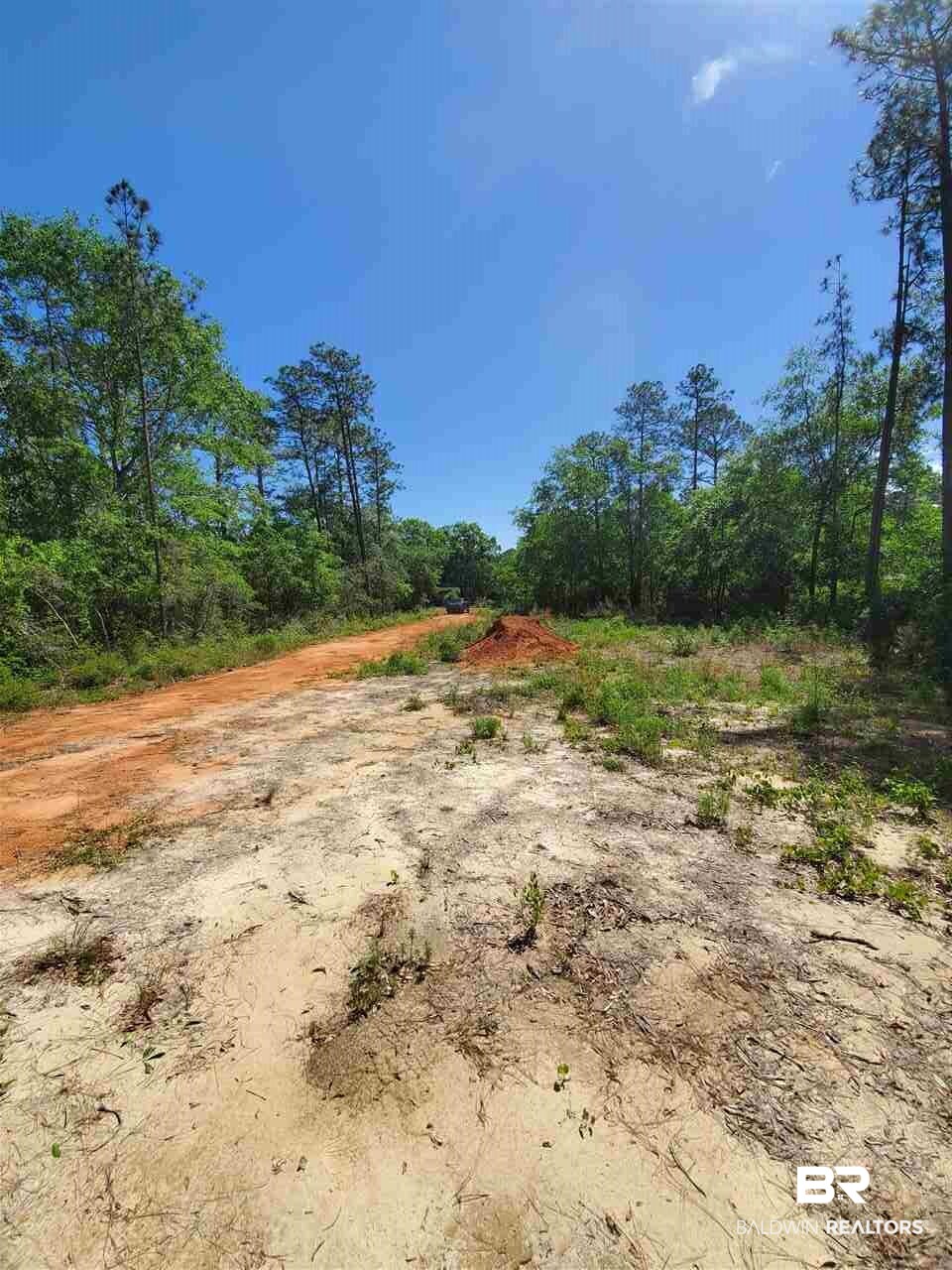 22148 Creek Road Gulf Shores, AL 36542 - Photo 7 of 8