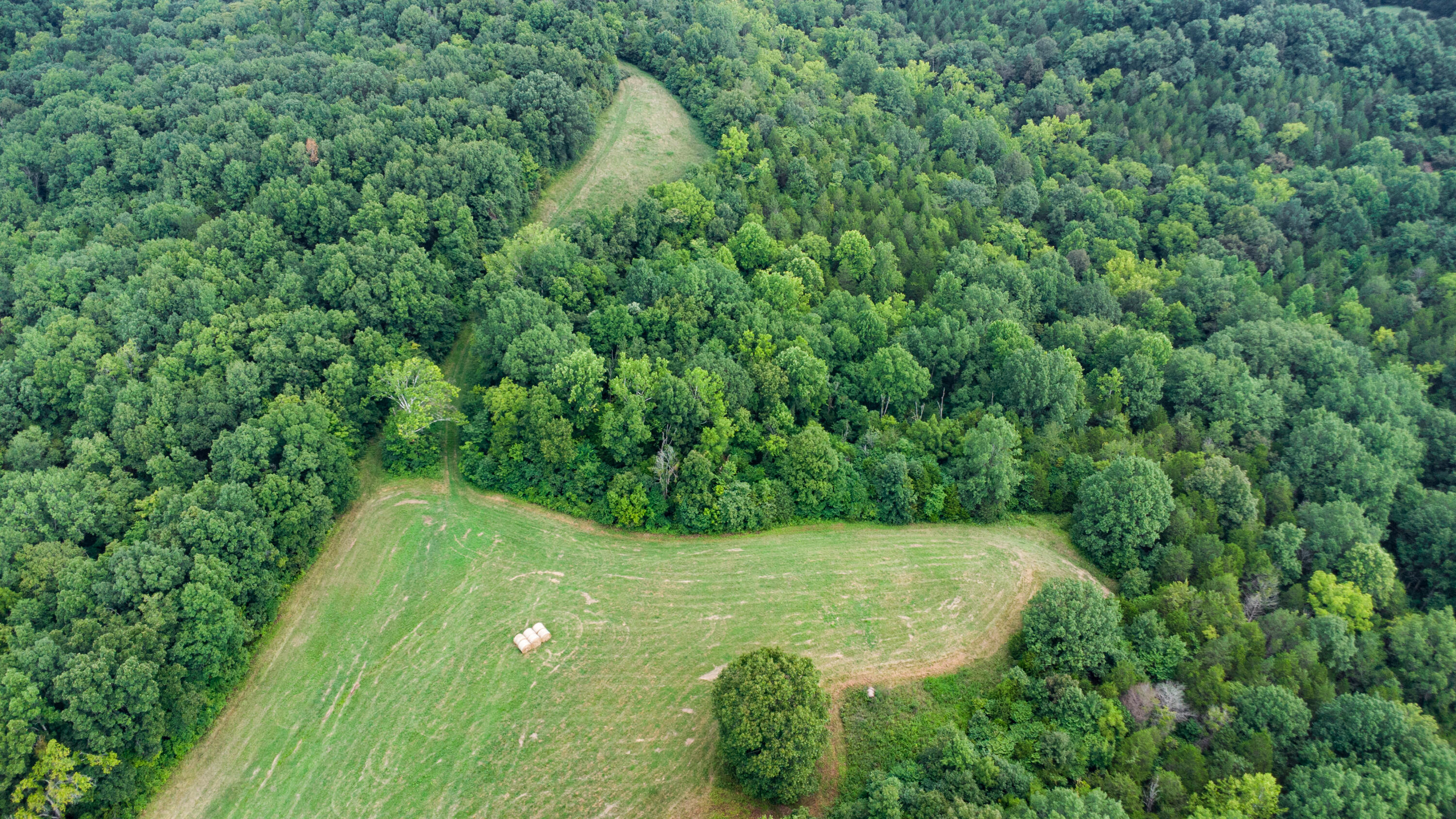 4095 Warsaw Road Dry Ridge, KY 41035 - Photo 10 of 48