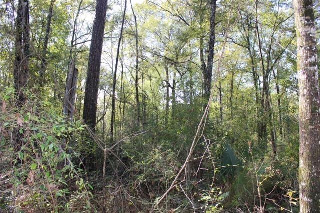 0 Happywoods Road Springfield, LA 70462 - Photo 11 of 19