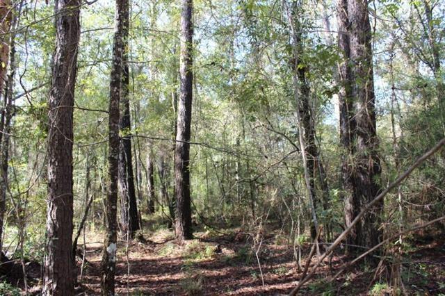 0 Happywoods Road Springfield, LA 70462 - Photo 12 of 19