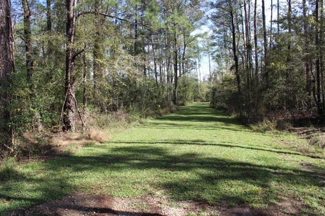 0 Happywoods Road Springfield, LA 70462 - Photo 13 of 19